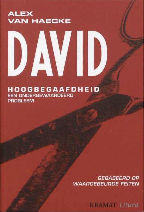 David: hoogbegaafdheid, een ondergewaardeerd probleem