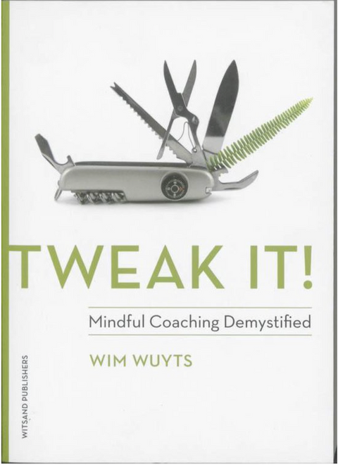 Tweak It!: Mindful Coaching Demystified