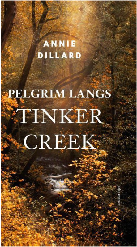 Pelgrim langs Tinker Creek