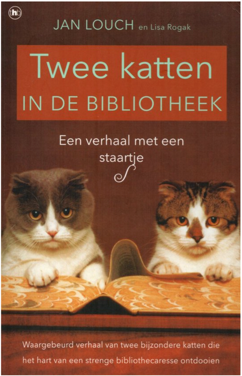 Twee katten in de bibliotheek