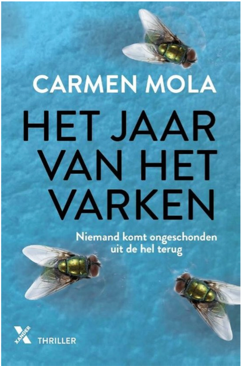 Het jaar van het varken