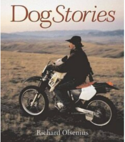 Dog Stories