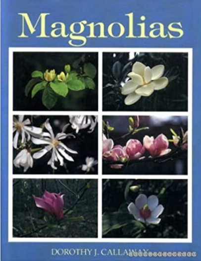 Magnolias