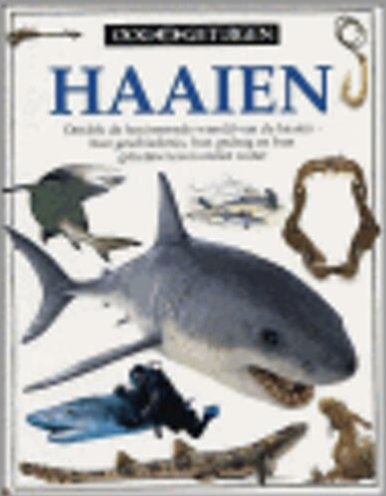 HAAIEN