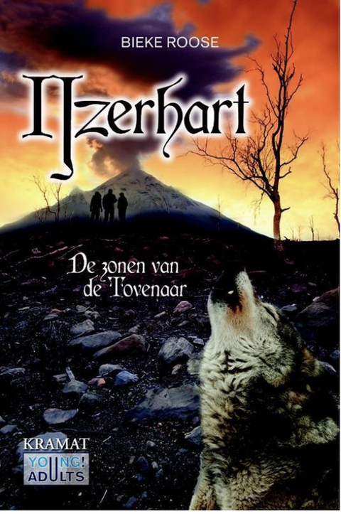 De zonen van de tovenaar 2 - Ijzerhart