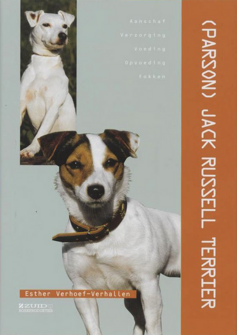 Jack Russel Terrier