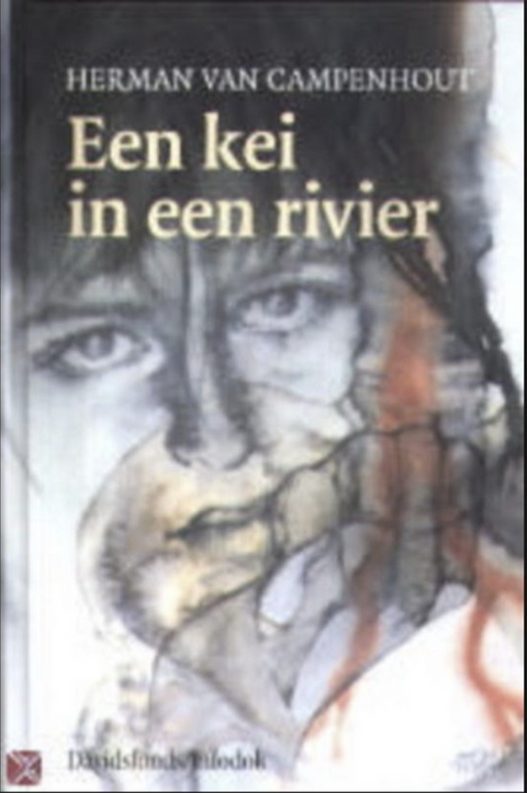 Een kei in een rivier