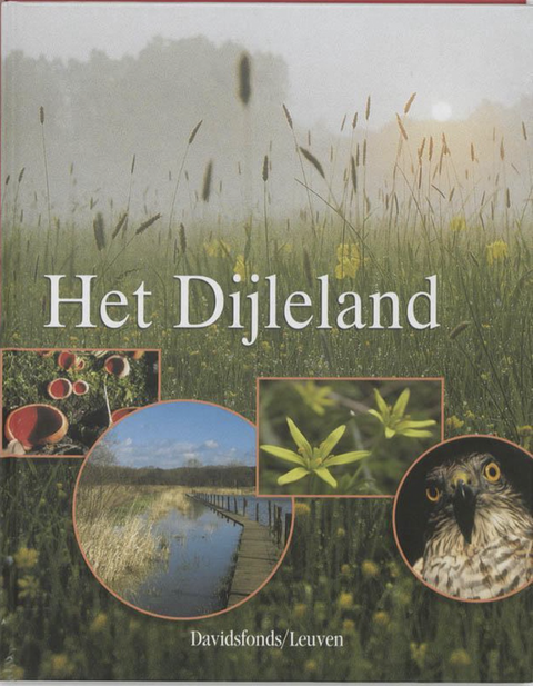 The Dijleland