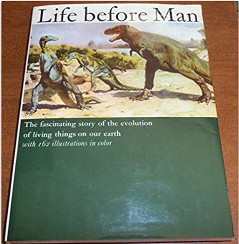 Life Before Man