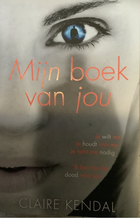 My book of you