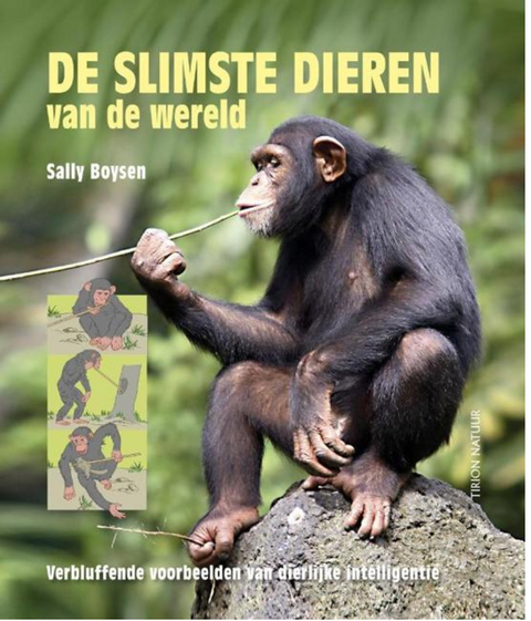 De slimste dieren van de wereld