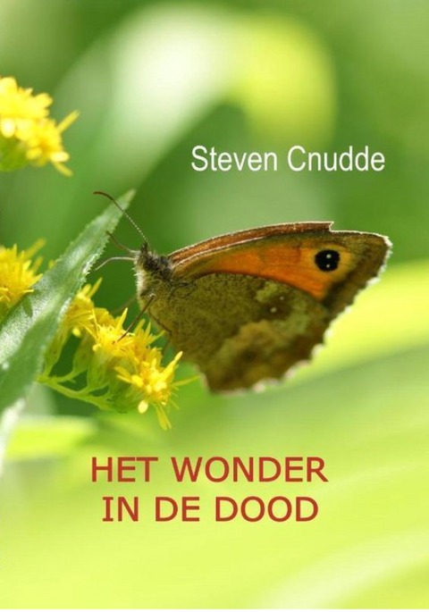 Het wonder in de dood