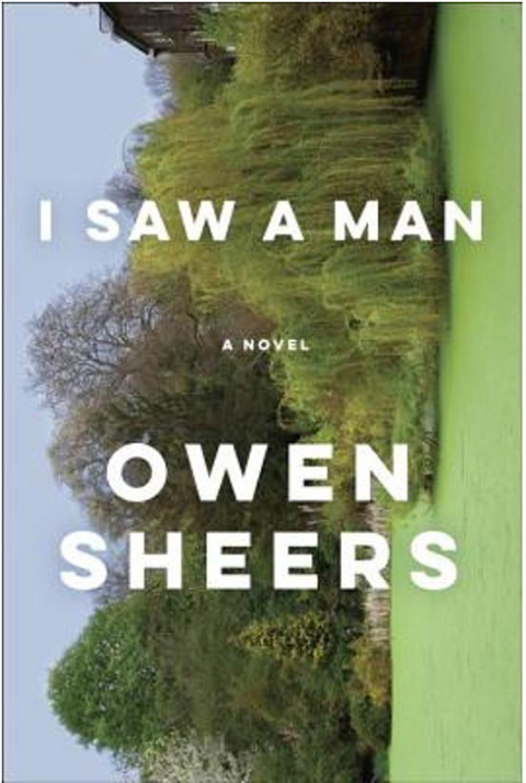 I Saw a Man: A Novel