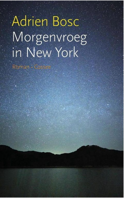 Morgenvroeg in New York